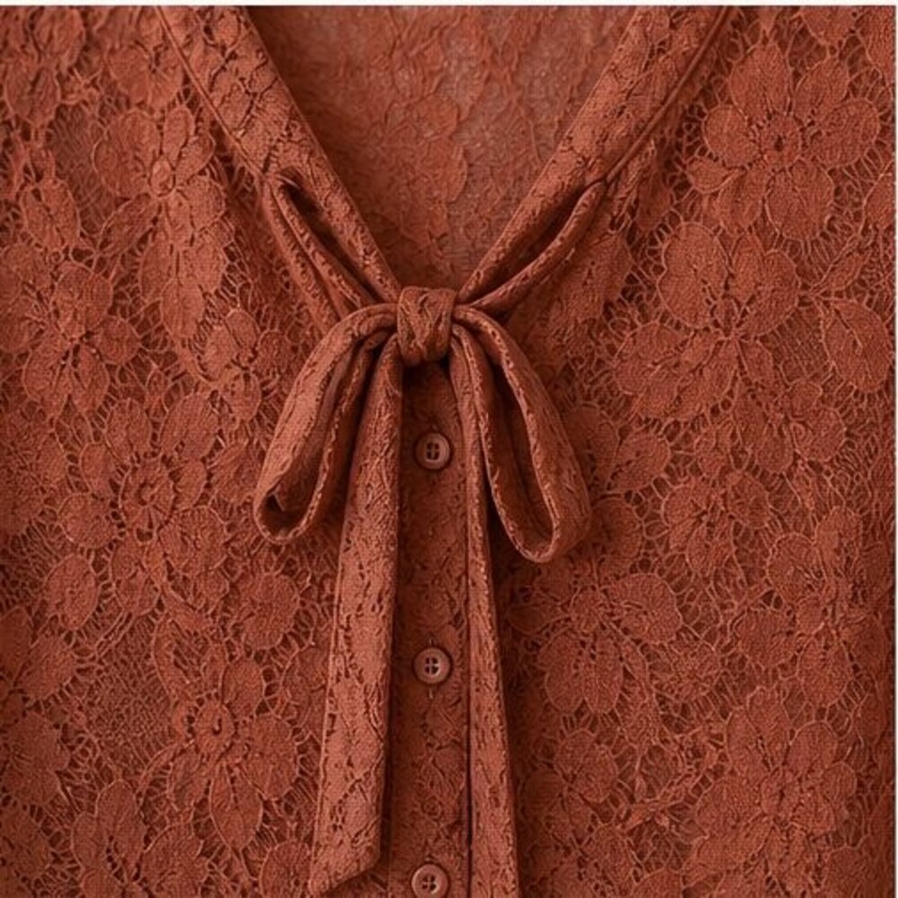 Rust Pleated Blouse - Picture 4 of 6